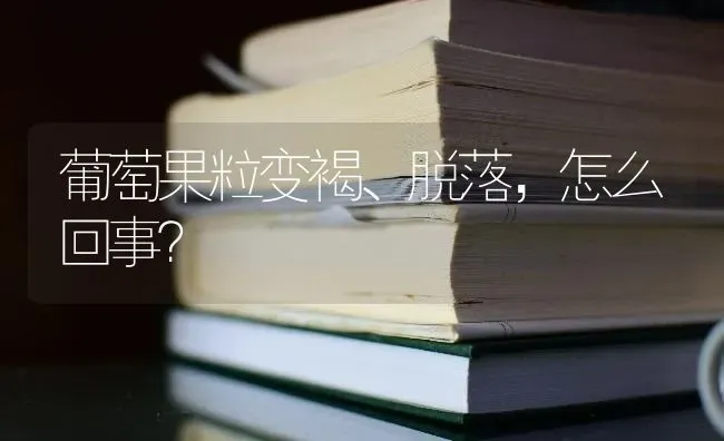 葡萄果粒变褐、脱落，怎么回事？ | 瓜果种植