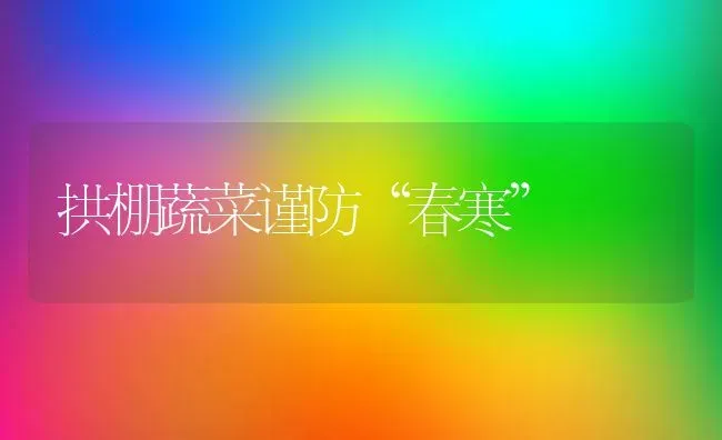 拱棚蔬菜谨防“春寒” | 蔬菜种植