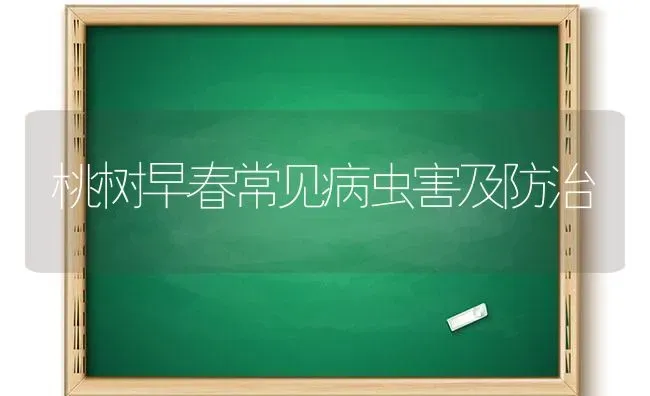 桃树早春常见病虫害及防治 | 种植病虫害防治