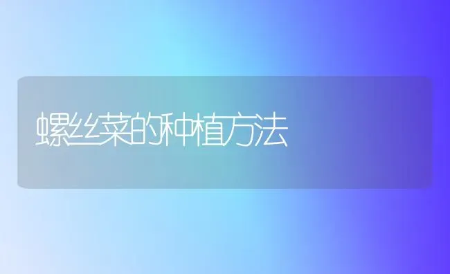 螺丝菜的种植方法 | 植物种植百科