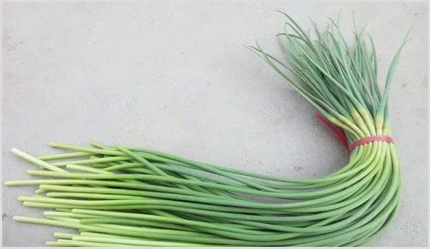 蒜苗种植管理技术讲解 | 自然知识