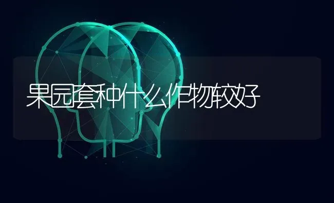 果园套种什么作物较好 | 瓜果种植