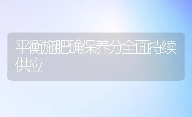 平衡施肥确保养分全面持续供应 | 种植肥料施肥