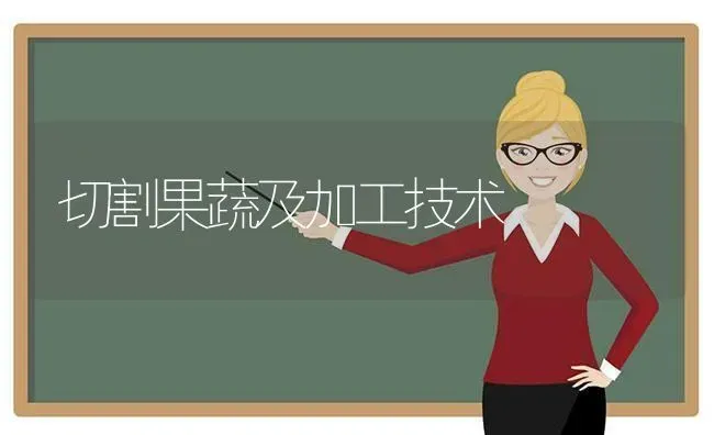 切割果蔬及加工技术 | 瓜果种植