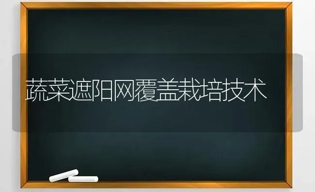 蔬菜遮阳网覆盖栽培技术 | 蔬菜种植