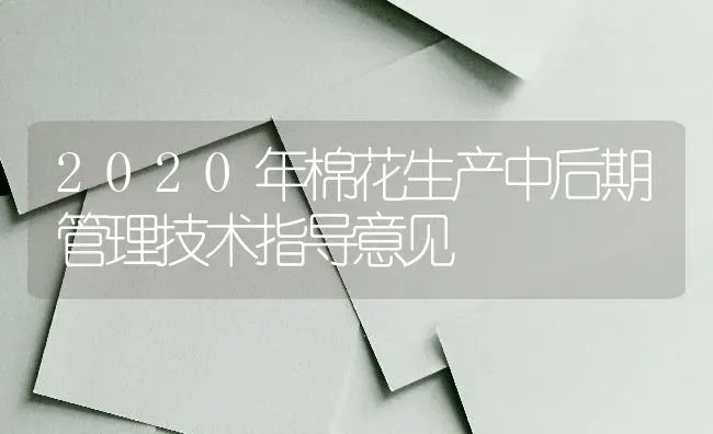 2020年棉花生产中后期管理技术指导意见 | 粮油作物种植