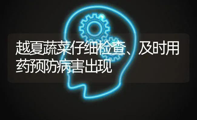 越夏蔬菜仔细检查、及时用药预防病害出现 | 蔬菜种植