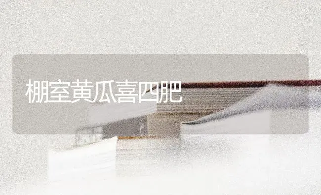 棚室黄瓜喜四肥 | 蔬菜种植