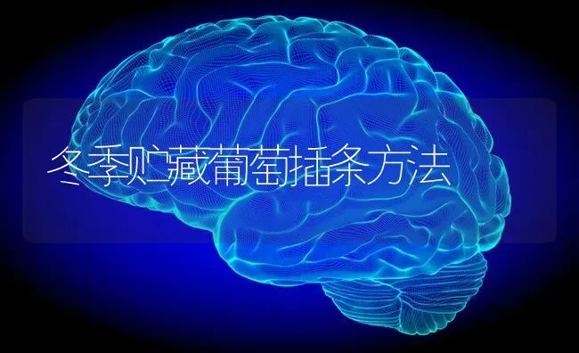 冬季贮藏葡萄插条方法 | 瓜果种植