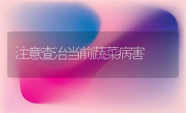 注意查治当前蔬菜病害 | 蔬菜种植