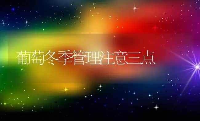 葡萄冬季管理注意三点 | 瓜果种植
