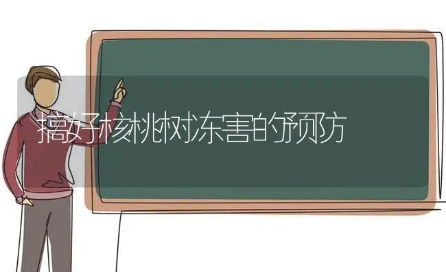 搞好核桃树冻害的预防 | 瓜果种植