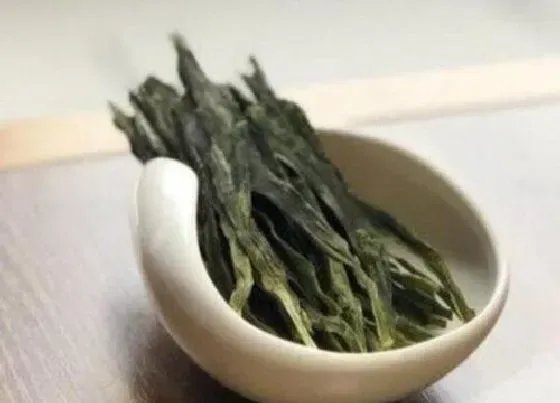 植物泡水|太平猴魁属于什么档次茶叶（太平猴魁什么样种类的品质好）