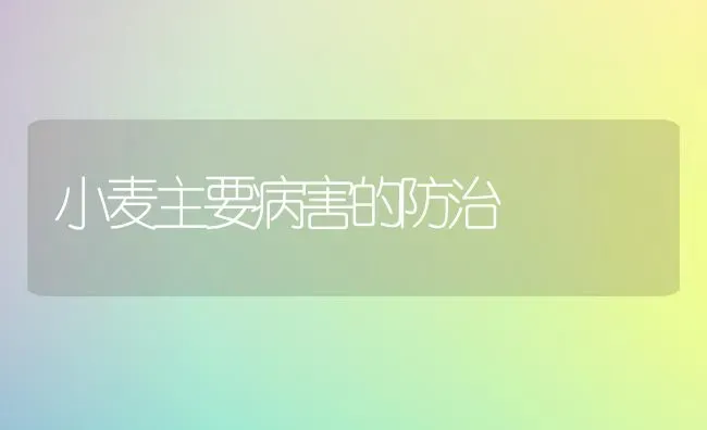 小麦主要病害的防治 | 粮油作物种植