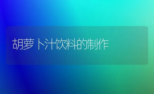 胡萝卜汁饮料的制作 | 蔬菜种植