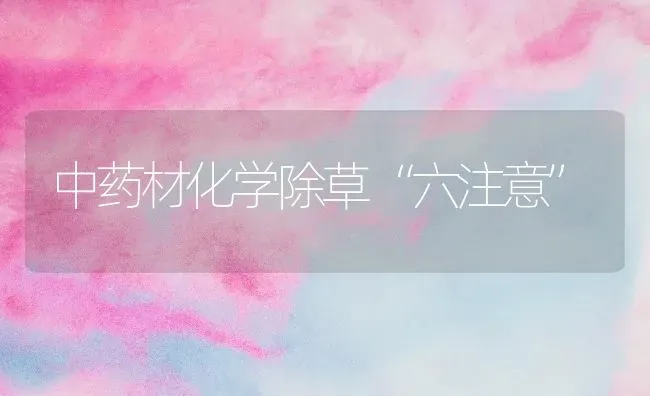 中药材化学除草“六注意” | 药材种植