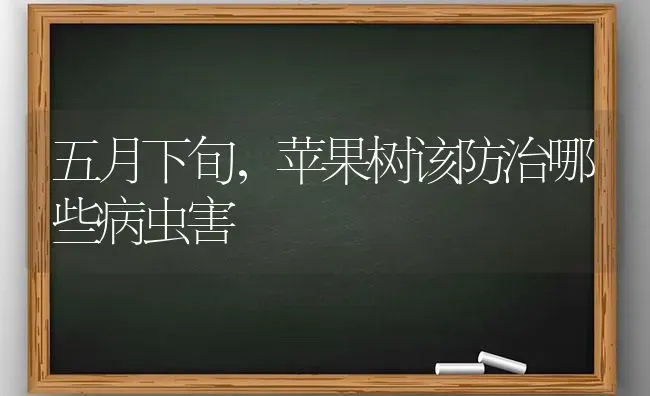 五月下旬，苹果树该防治哪些病虫害 | 瓜果种植