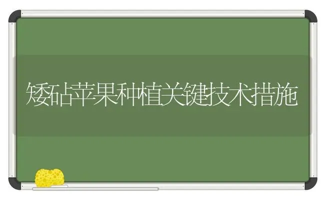 矮砧苹果种植关键技术措施 | 瓜果种植