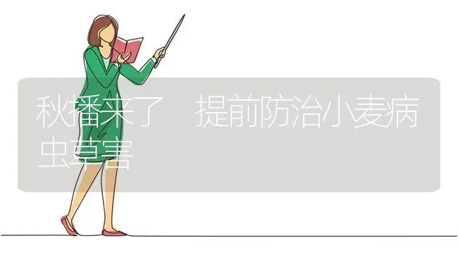 秋播来了 提前防治小麦病虫草害 | 粮油作物种植