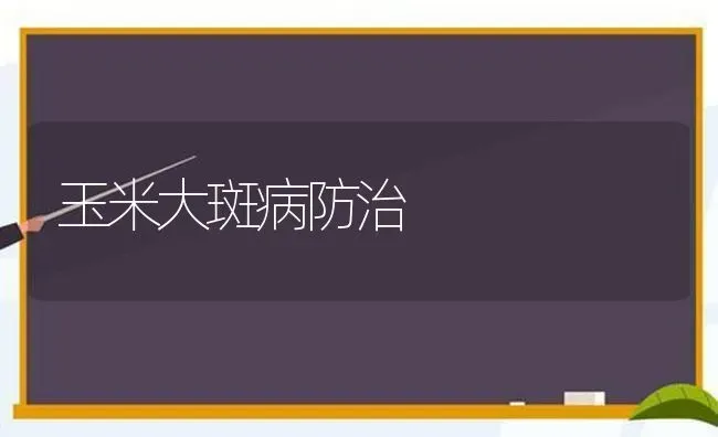 玉米大斑病防治 | 粮油作物种植