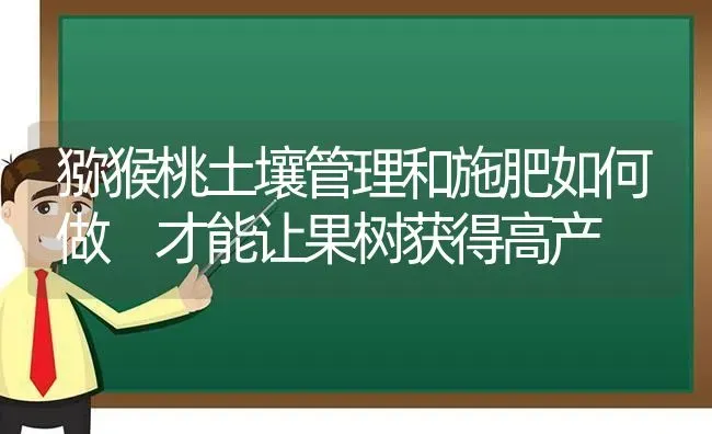 猕猴桃土壤管理和施肥如何做 才能让果树获得高产 | 瓜果种植