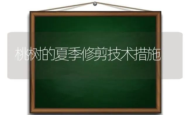 桃树的夏季修剪技术措施 | 瓜果种植