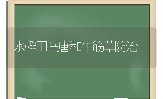 水稻田马唐和牛筋草防治 | 粮油作物种植