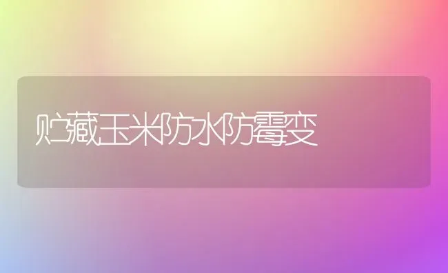 贮藏玉米防水防霉变 | 粮油作物种植