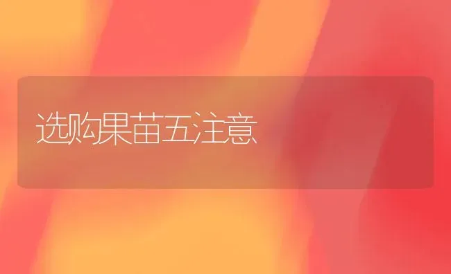 选购果苗五注意 | 瓜果种植