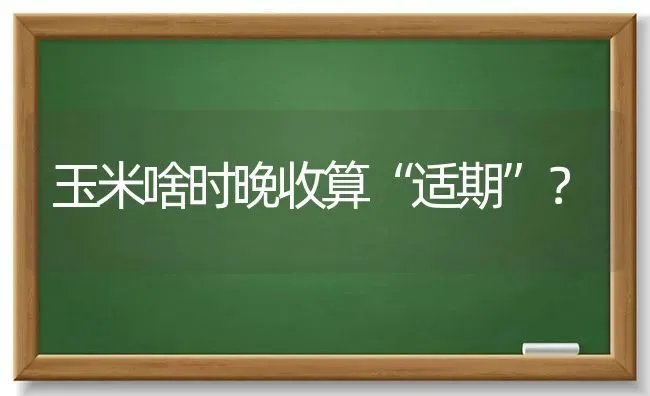 玉米啥时晚收算“适期”？ | 粮油作物种植