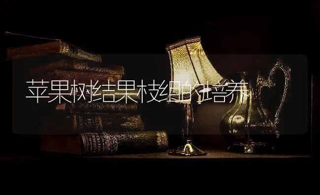 苹果树结果枝组的培养 | 瓜果种植