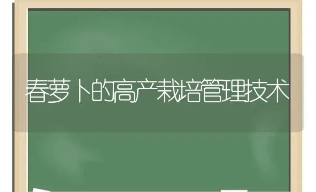 春萝卜的高产栽培管理技术 | 蔬菜种植