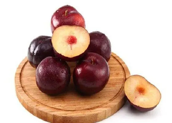 植物百科|跟黑布林很像的水果叫什么