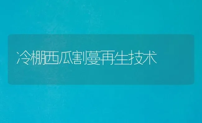 冷棚西瓜割蔓再生技术 | 瓜果种植