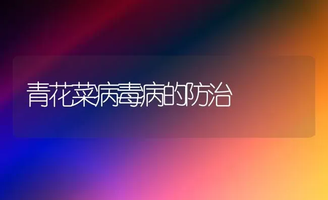 青花菜病毒病的防治 | 蔬菜种植