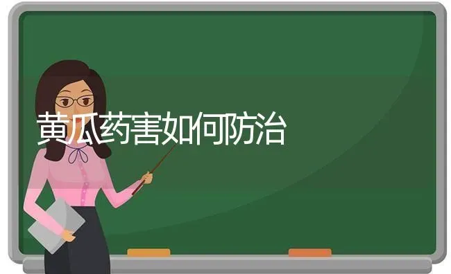 黄瓜药害如何防治 | 蔬菜种植