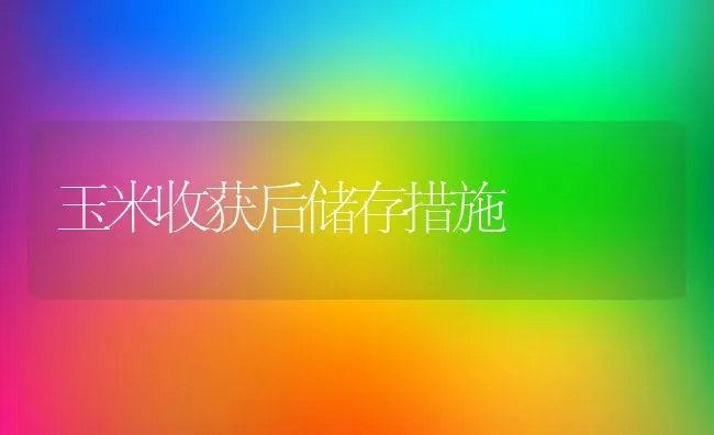 玉米收获后储存措施 | 粮油作物种植