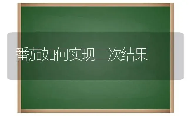 番茄如何实现二次结果 | 瓜果种植