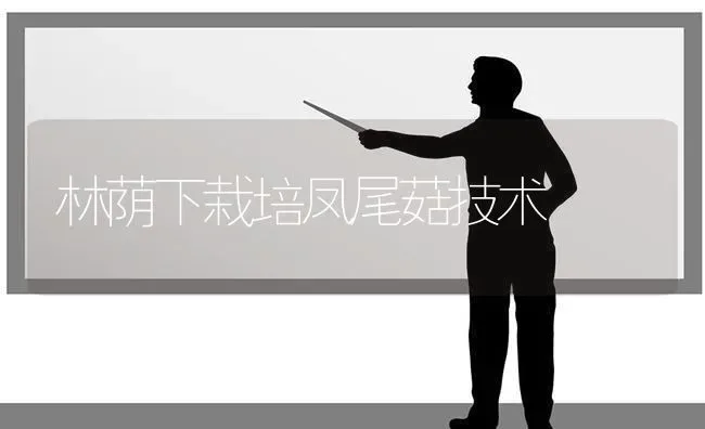 林荫下栽培凤尾菇技术 | 食用菌种植