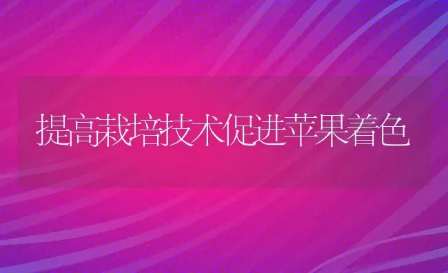 提高栽培技术促进苹果着色 | 瓜果种植