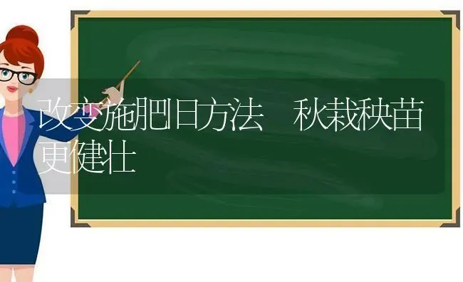 改变施肥旧方法 秋栽秧苗更健壮 | 种植肥料施肥