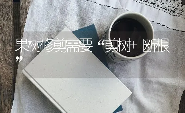 果树修剪需要“剪树+断根” | 瓜果种植