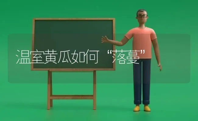 温室黄瓜如何“落蔓” | 蔬菜种植