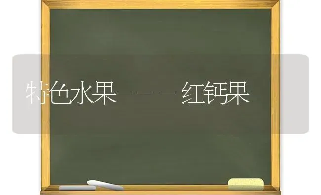 特色水果---红钙果 | 瓜果种植