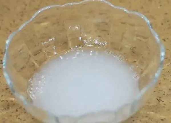 植物浇水|洗衣水能浇花吗 洗衣水浇花方法