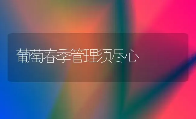 葡萄春季管理须尽心 | 瓜果种植