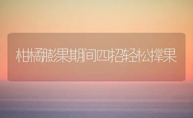 柑橘膨果期间四招轻松撑果 | 瓜果种植