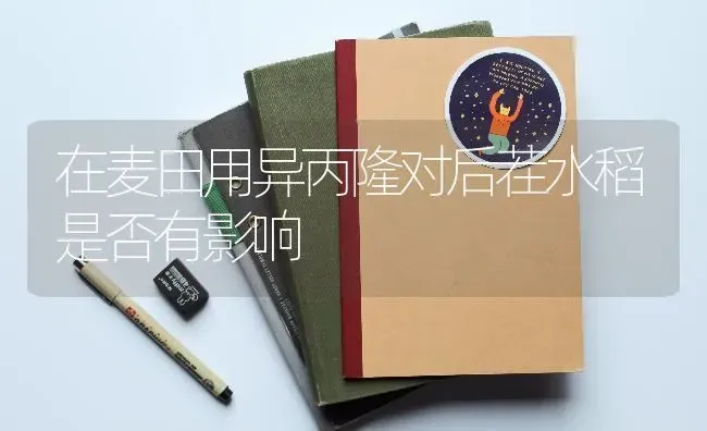 在麦田用异丙隆对后茬水稻是否有影响 | 粮油作物种植