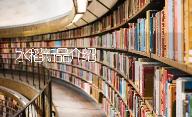 水稻新品介绍 | 粮油作物种植