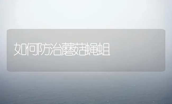 如何防治蘑菇蝇蛆 | 食用菌种植